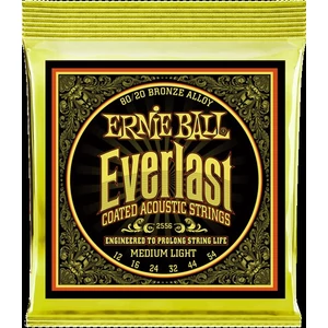 Akusztikusgitár húrkészlet  Ernie Ball  12-54