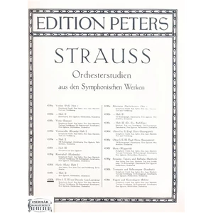 ORCHESTERSTUDIEN AUS DEN SYMPHONISCHE WERKEN  FLÖTE I,II,III UND PICCO